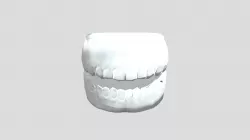 Cast