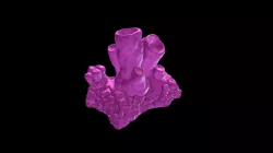 Cavern scenery alien lifeform 1-2