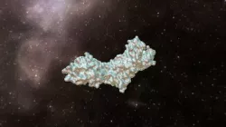 Cb1 Receptor