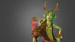Cenarion Circle wood elf