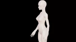 Character Base Female