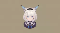 Character face modeling