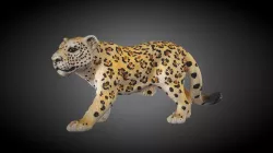 Cheetah