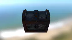 Chest