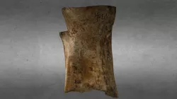 Chinese Oracle Bone - Or 7694/1593