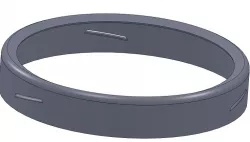 3D model wappa + rib