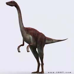 3DRT - Dinosaurs - Compsognathus Low-poly  3D model