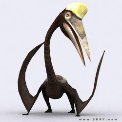 quetzalcoatlus 3d 【 STLFinder