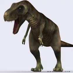 3DRT - Dinosaurs - Tyrannosaurus Low-poly  3D model