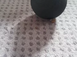 Atomic Cat Food Ball
