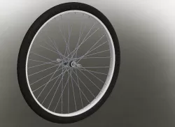 Bicycle Wheel Assembly