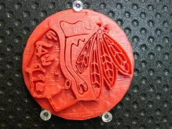 Blackhawks Indian Head Logo Raised