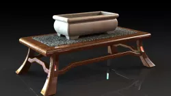 Bonsai Display Table