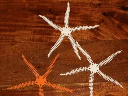 Brittle Star Mk3F1