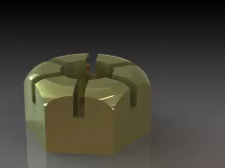 castle nut