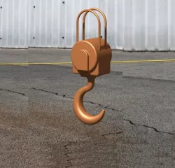 Crane Hook