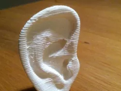 Ear