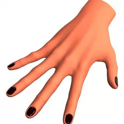 Female hand