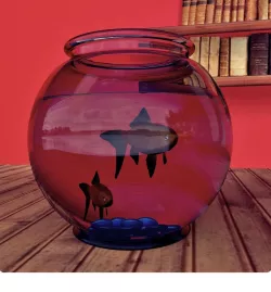 Fish Model with Fish Jar 3D model