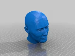 Head