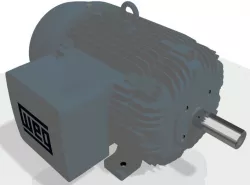 Motor Trifásico 160M - WEG