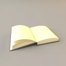 Open Book 3D model