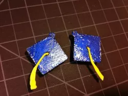 p Earring #5 Graduation Cap