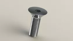 Rotor Bolt