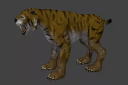 Sabertooth Tiger Low-poly  3D model