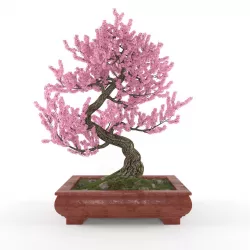 Sakura bonsai 3D model