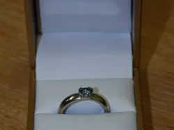 She said yes!