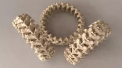 Spine Ring