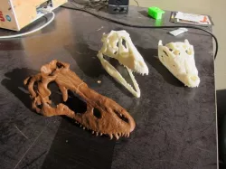 Tarbosaurus skull, sliced for printing