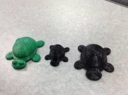 Turtle