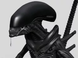 Xenomorph Aliens Mega Pack 3D model