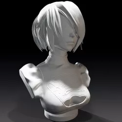 2B Bust 3D model