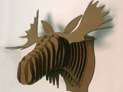 3D puzzle head