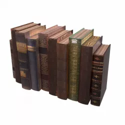 9 Old Books and Piles Low-poly  3D model