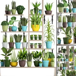a collection of plants in pots 3D model