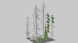Alpine Trees 3D model