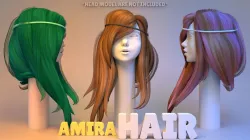 Amira Hair 3D model