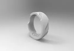 anillo halo 3D model