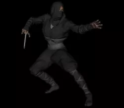 Black Ninja 3D model