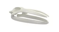 Blue Whale Skull 3D model