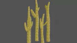 Cactus Mini Set 3D model