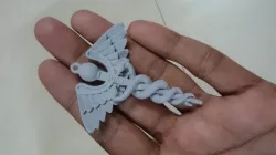Caduceus