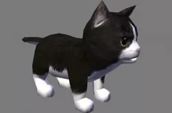 cat with animation Low-poly  3D model