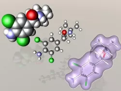 Clenbuterol molecule 3D model