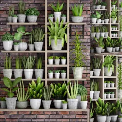 Collection of plants in concrete pots 3D model
