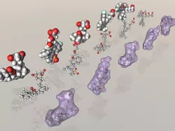 Collection of statin drug molecules 3D model